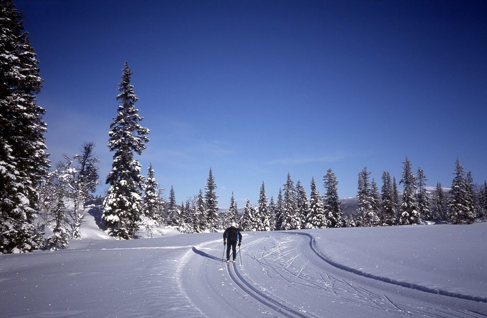 STF Hemavans Fjällcenter Buitenkant foto