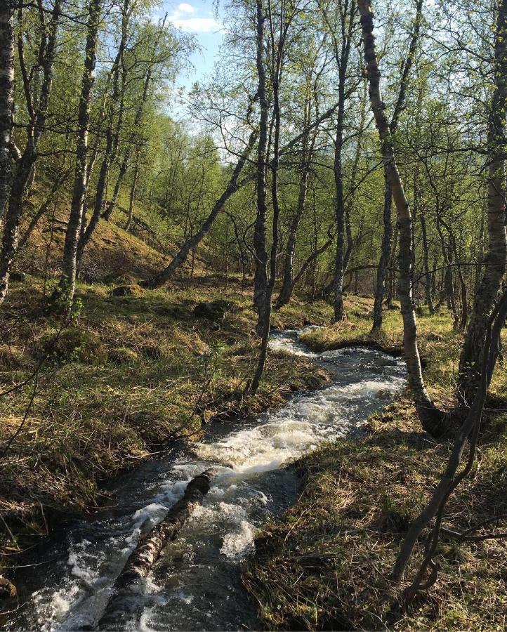 STF Hemavans Fjällcenter Buitenkant foto